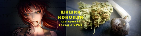 гидра Зеленокумск