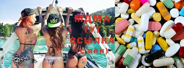 PSILOCYBIN Зерноград