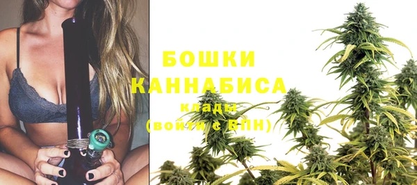 PSILOCYBIN Зерноград