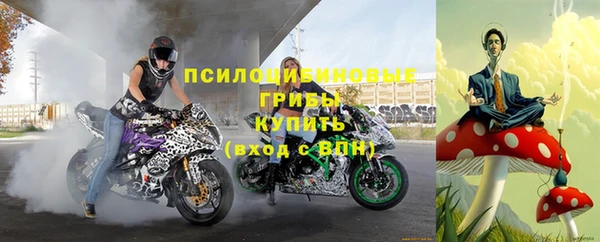 гидра Зеленокумск