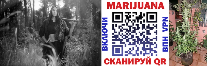 Купить где  Велиж  Канабис конопля 